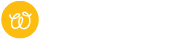 wizer-logo